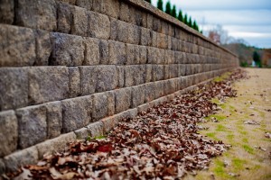 Retaining Wall