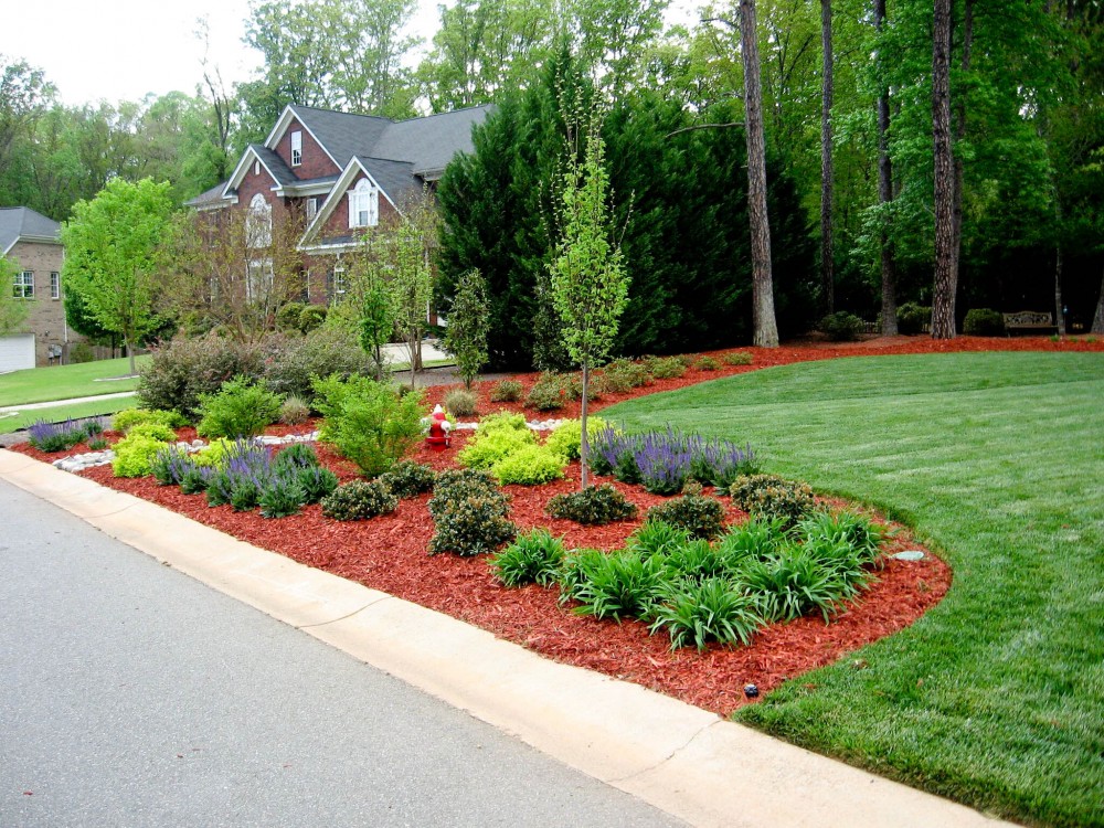 Natural Privacy Screen EcoGreen Landscaping